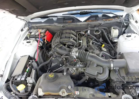 2014 Ford Mustang V6 Premium z USA, uszkodzony, nr VIN 1ZVBP8AM2E5280063